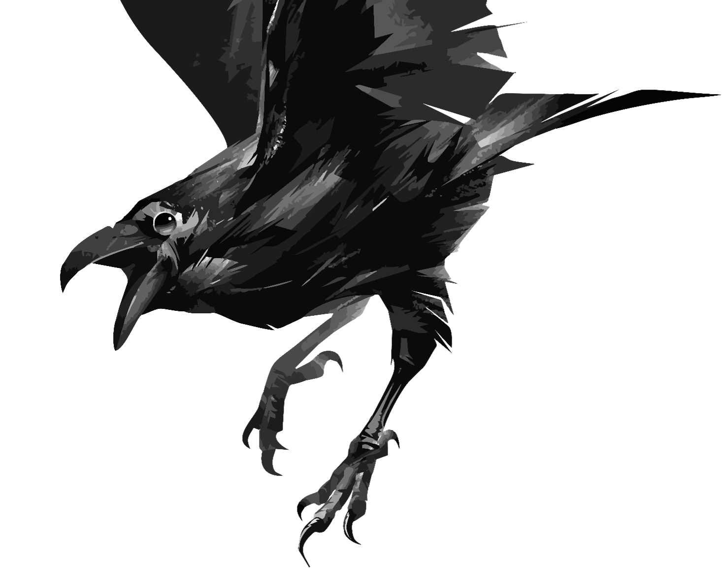 Raven
